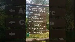 Mussoorie Zoo | Dehradun Zoo | crocodile | Dehradun zoo animal  #shorts #uttarakhand #zoo
