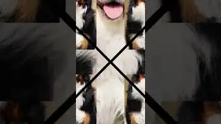 doggys #bome #bone #dog #doggus #pets #aesthetic #art #dccomics #motivation #phonk