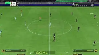 BeeWolves FC
