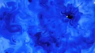 A Drop Of Colored Ink Spread On Water Over A White Surface | Free Stock Video Footage HD 4K