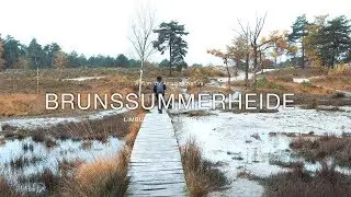 A Day in Brunssummerheide (NL)  - 4K
