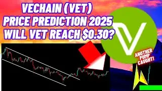 VeChain Crypto News & Price Prediction 2025 | Will VET Reach $0.30?