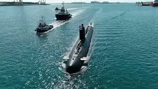 DIMDEX 2024 Highlights