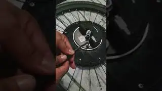 Imortor wheel