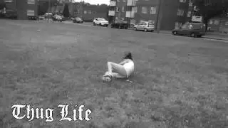 My vine