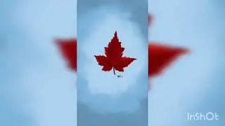 modified leaf design ❤️