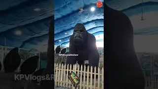 Koo Koo Nature & Amusement Park Mela Surat | India's Biggest Carnival | Surat Biggest Mela | 2024 |