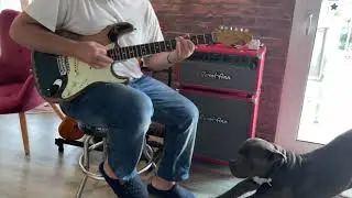 Carol Ann JB 100 &ldquo;Red Amp&rdquo; Bonamassa clean / Sliders &lsquo;59 pickups / SVL &lsquo;61 Reserve