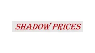 Shadow Prices(UGCNET ECONOMICS)