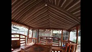 MIshelle's canopy in front of their house. GH010195