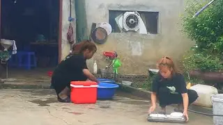 Single mother&rsquo;s tough journey &ndash; Balancing dishwashing work and homegrown vegetables