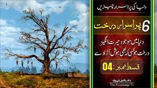 | Top 6 Most Mysterious Tree in The World | Dunia kay 6 Purisrar Darakhat urdu hindi | Episode# 04 |