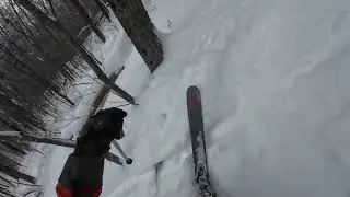 Mt Greylock Thunderbolt Trail Ski - Feb 10 2025