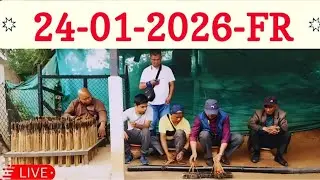 Shillong Teer Live FR 24/01/2026@Khasi Hills Archery Sports Institute@Shillong Teer Result