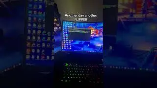 Another DAILY FLIPPER 🐬
