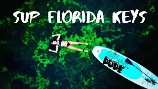 Paddle boarding 🐠 in The Florida Keys  4K