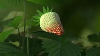 Very Beautiful
