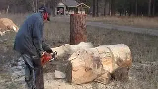 Chainsaw Moose