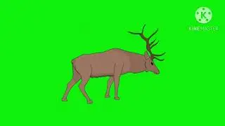 Kinemaster's Animal Species and coloranimals pink platypus green screen