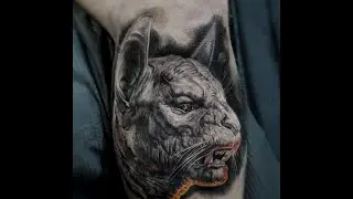 Realistic Cat Tattoo Time Lapse | Тату кошка на ноге | @SuvorovTattoo