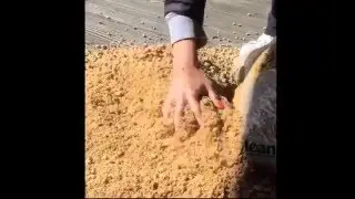 How to Prepare Wood Pellet Horse Bedding