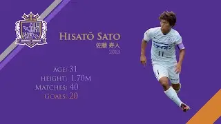 HISATO SATO 佐藤 寿人 | GOALS, ASSISTS | SANFRECCE HIROSHIMA | 2013 (HD)