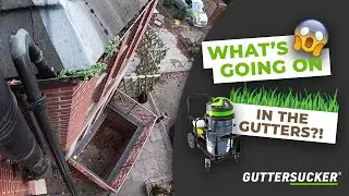 Clearing Overgrown Gutters With The Guttersucker Solo