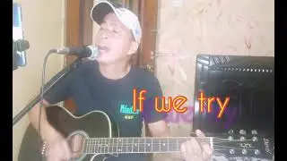 If We Try (cover)                by:Don McLean