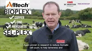 GAIN Autumn Extender 16 can increase milk yield by 1 litre per cow per day