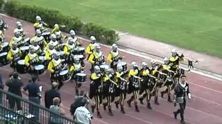 Trombonieri Senatore - entrata in campo disfida 2011