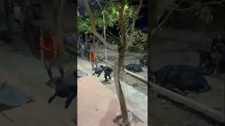 que gran lecci&oacute;n pa estos mala conductas qu&eacute; sorpresa😱😡#yosoydelos7mil😡😱