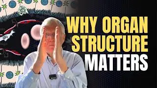 How to Actually Learn Medicine: Structure, Function, and True Mastery