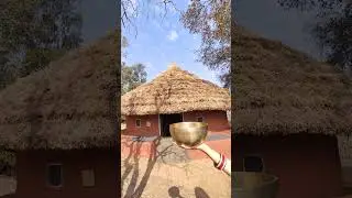 Nature's Vibration: Tibetan Bowl Meditation in a Peaceful Forest.
