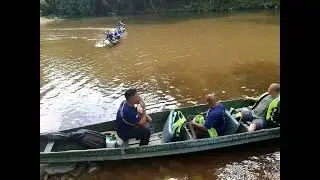 Lubuk Tenor, Santuari Kelah Taman Negara #2472