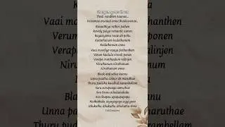 Thangamey❤️ #anirudh #nayantharaa #vijaysethupathi #shorts #lyrics #shortvideo #trending
