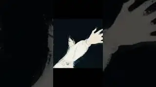 Regina Spektor - Two Birds || The girl from the other side edit