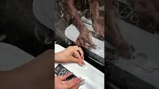 Smart Sanitary Ware | High-Tech Toilet Manufacturing Process