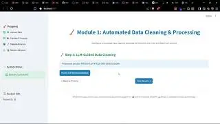SurveyAI: Automated Data Cleaning & Reporting | Module 1  Demo (POC)