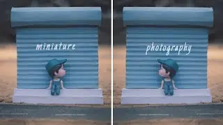 Thattikutti Miniature photography  | photography |  @umeshOffline