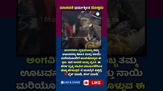 ಮಾನವಿಯತೆೆ ಧರ್ಮಕ್ಕಿಂತ ದೊಡ್ಡದು 🙏| ಸಾವಿರ ಮಾತಿಗಿಂತ ಹೆಚ್ಚು ಹೇಳುವ ಕ್ಷಣ | #kannadashorts #facts #shorts