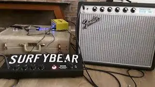 Princeton Reverb 68 Custom with Surfy Bear-Surfy Industries