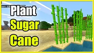 Как добыть и посадить сахарный тростник в Minecraft (лучший туториал)
