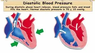 Lower Blood Pressure Naturally - Tips To Lower Diastolic Blood Pressure Naturally.