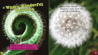 Plant Patterns by: Nathan Olson | Read Aloud for Kids | All About Plants | Ms. Rhone