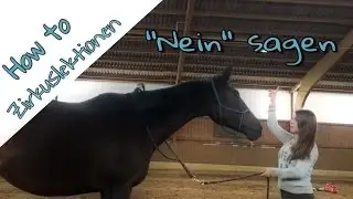 How to - Pferd 