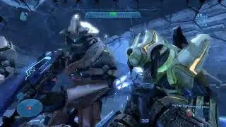 Sangheili Jumpscare