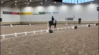 Prelim 6 2024 - 71.40%