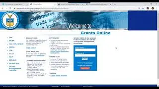04 - Competitive Application Selection