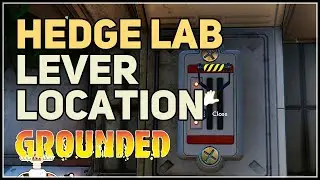 Hedge Lab Lever Location Grounded