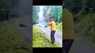 охота на кабана с близкого расстояния.#hunting#chase#challenge